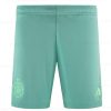 Celtic Tredje Fotbollsshorts 23/24