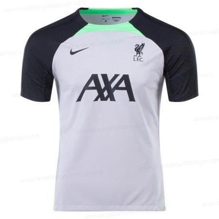 Liverpool Pre Match Training Fotbollströja – Grey