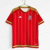 Retro Wales Hemmatröja Fotbollströja 2015