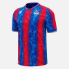 Crystal Palace Hemmatröja Fotbollströja 2425